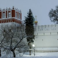 Новодевичий монастырь. :: Владимир Безбородов