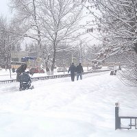 Прогулки зимой, а снег метет.. :: Елена Семигина