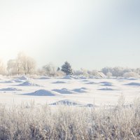 Зима за городом... :: Анна 