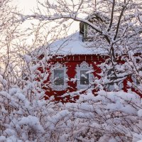 Деревенский домик зимой :: Анна 