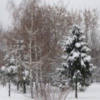 Зима в парке :: Дмитрий Никитин