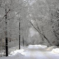 Зима, зима, кругом снега! :: Татьяна Помогалова