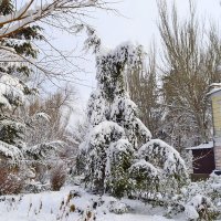 Зима в Феодосии :: Виктор Шандыбин