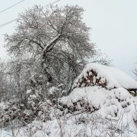 Занесенное снегом.. :: Юрий Стародубцев