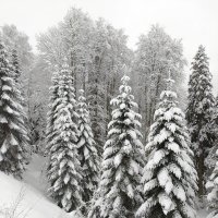 06.01.19 г.  Фантастические пейзажи горно-туристического центра "Газпром". :: Светлана Исаева