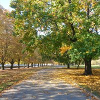 Городские картинки октября :: Маргарита Батырева