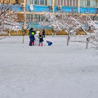 Игра в снегу :: Анатолий Чикчирный