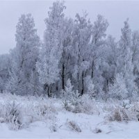 зима сезон2018-2019 :: александр мак mak