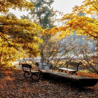 Осень в парке :: Dmitry Ozersky