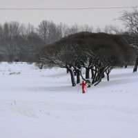 ЛЫЖНИЦА :: Виктор Никитенко