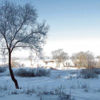 Морозной нежностью  дыхание зимы... :: Лесо-Вед (Баранов)