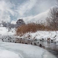 утОчки :: Двухсотый раз 