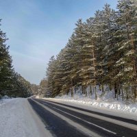 Зимняя дорога в Поречье. :: Мария 