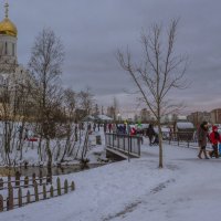 Пейзажей зимних хмурая краса :: Юрий Велицкий