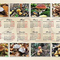 Календарь с моими грибочками. Подарок. :: Валерия Комова