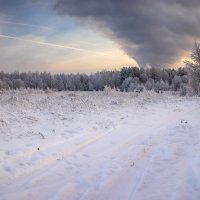 *** :: Анжела Пасечник