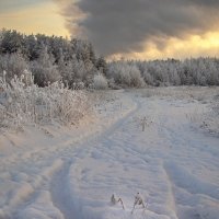 *** :: Анжела Пасечник