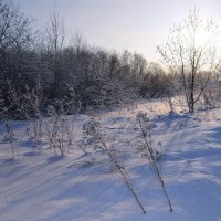 В январе :: Вера Андреева