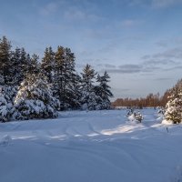 13 января, Подмосковье, Дрезна :: Андрей Дворников