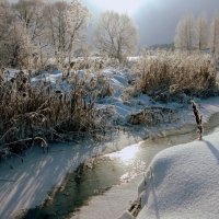 незамёрзшая речушка :: Александр Прокудин