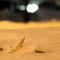 на снегу под  фонарём :: Геннадий Свистов