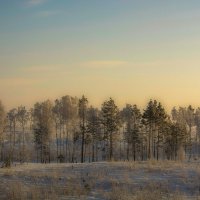 Прогленувшее солнце :: Руслан 