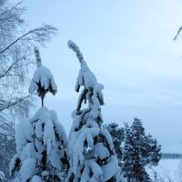 Северные сказки :: Ольга 