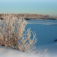 Река зимой... :: Нэля Лысенко