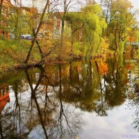 Осень в Штаде :: Nina Yudicheva