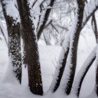 Зима :: Владимир Кроливец