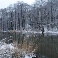 Зимний пейзаж :: Евгений Седов