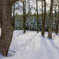 За городом :: Любовь Потеряхина