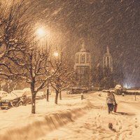 Прогулки под снегопадом :: Алексей Кадыков 