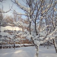 Зимний сад :: Эльвира Давлятова