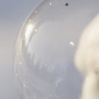 отражение в мыльном пузыре :: Анастасия Жигалёва