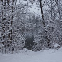 У реки....зимнее кружево... :: Galina Dzubina