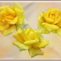 Желтые розы :: Татьяна Беляева