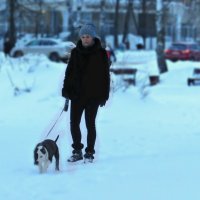 зима 2019 :: константин Чесноков