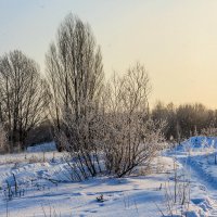 Снег морозным утром :: Юрий Стародубцев