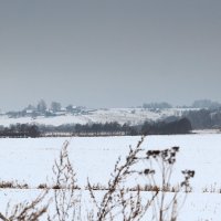 *** :: Наталья Кузнецова