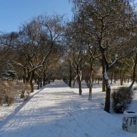 Зима в парке :: Александр Рыжов