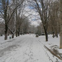 Зимний парк :: Александр Рыжов