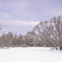 Снежное безмолвие :: bajguz igor