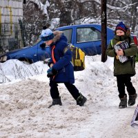 Агентура приступила к выполнению задания! :: Татьяна Помогалова