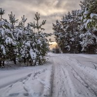 Зима :: Андрей Дворников