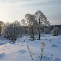 Зима в долине Протвы :: Сергей Курников