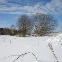 Зима в долине Протвы :: Сергей Курников