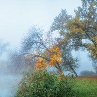 Былины кубанской осени. :: Анатолий Щербак