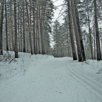 Кто вверх, кто вниз :: Raduzka (Надежда Веркина)