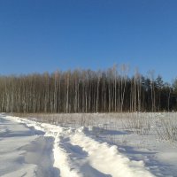 перемело снегом дорогу :: Владимир 